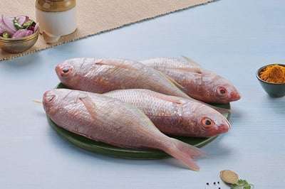Pink Perch / Kilimeen /കിളിമീൻ