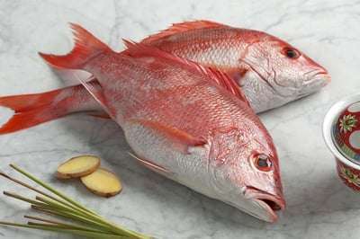 Red Snapper / Chempalli /ചെമ്പല്ലി
