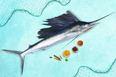 Sail Fish / ഓലക്കൊടിയൻ