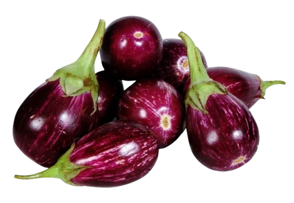 Brinjal - Image 2
