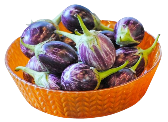 Brinjal - Image 3