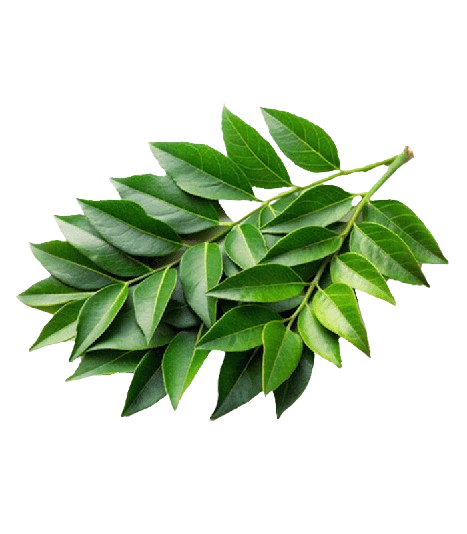 Curry Leaves
