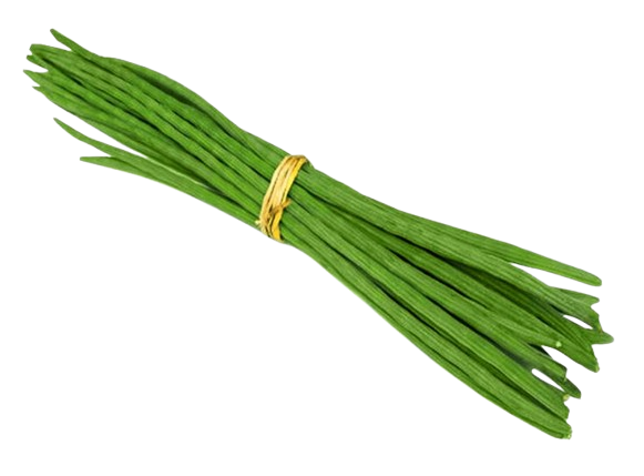 Drumstick