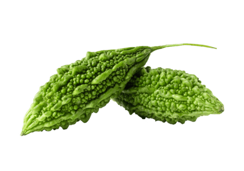 Bitter Gourd - Image 2
