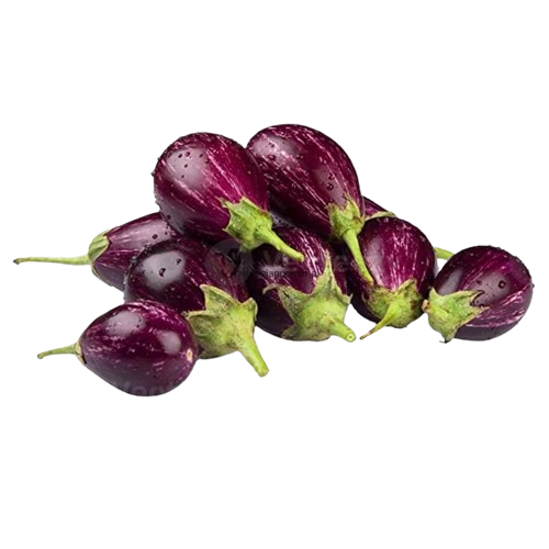 Brinjal