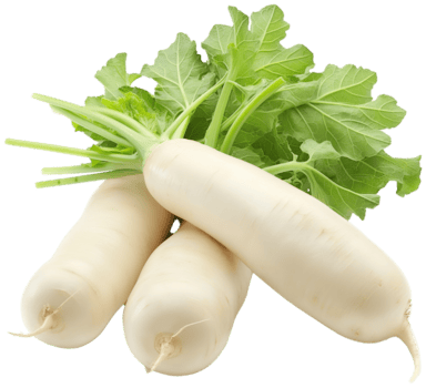 Radish (Mooli)