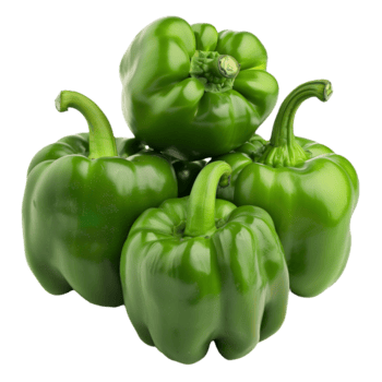 Capsicum