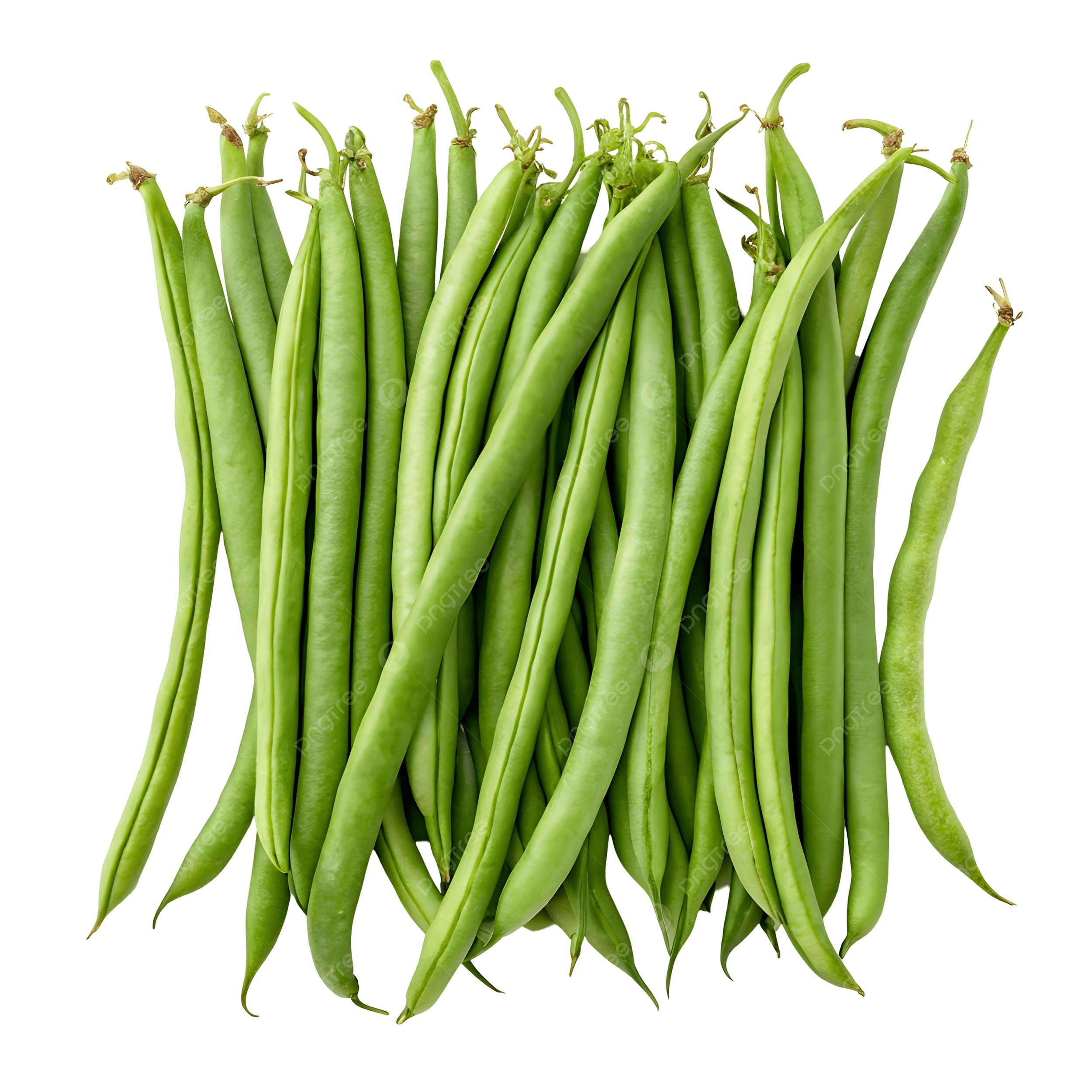 Beans