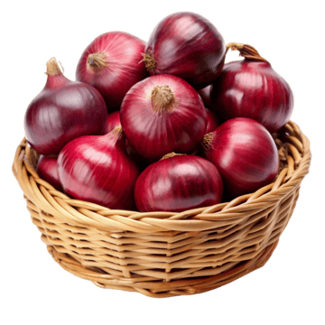 Onion