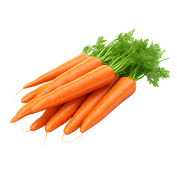 Carrot