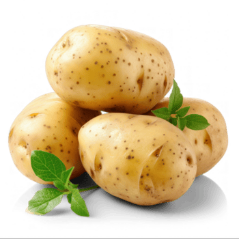 Potato