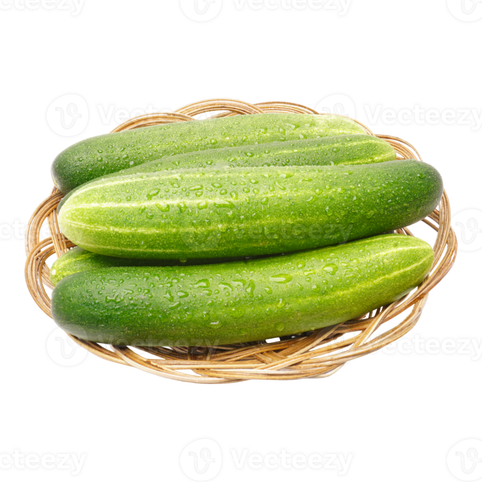 Cucumber